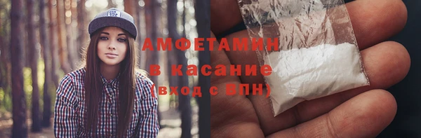 индика Иннополис